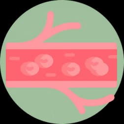 Blood Stream